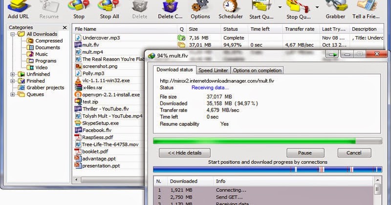 Idm with crack and patch